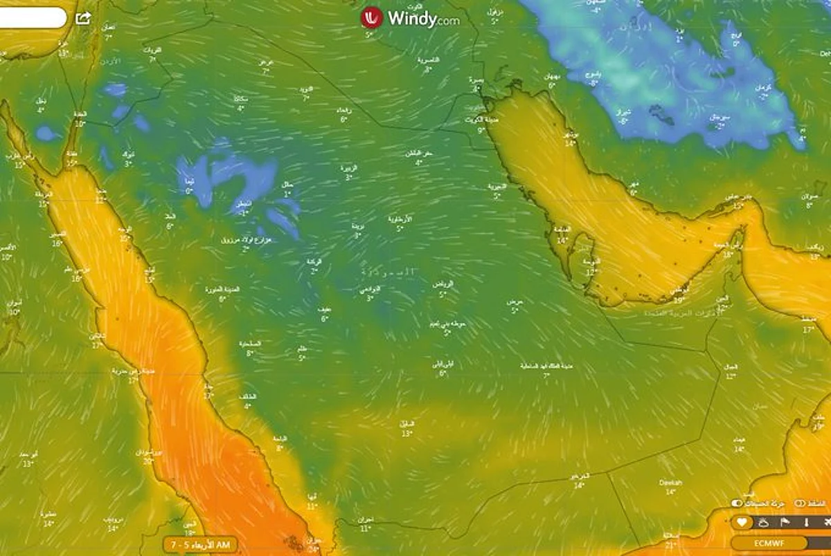 خبير طقس: اليوم "الشولة" آخر نجوم المربعانية.. البرودة والصقيع وسقوط الثلوج والحرارة الصفرية