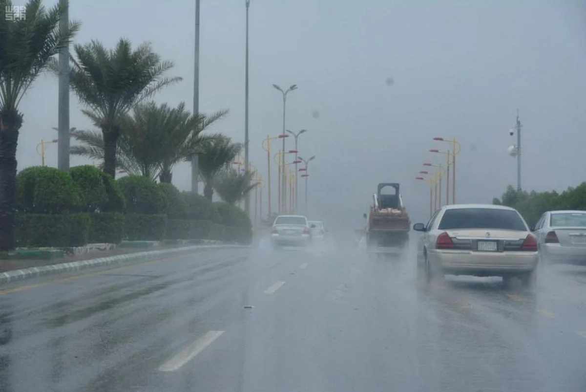 "الأرصاد": أمطار رعدية على الباحة