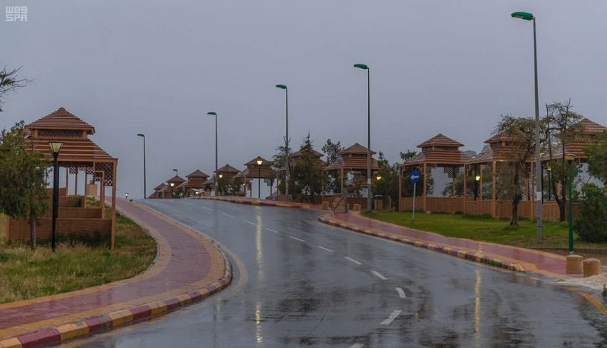 حالة أمطار رعدية على الباحة.. و"الأرصاد": تتواصل حتى 8 مساءً