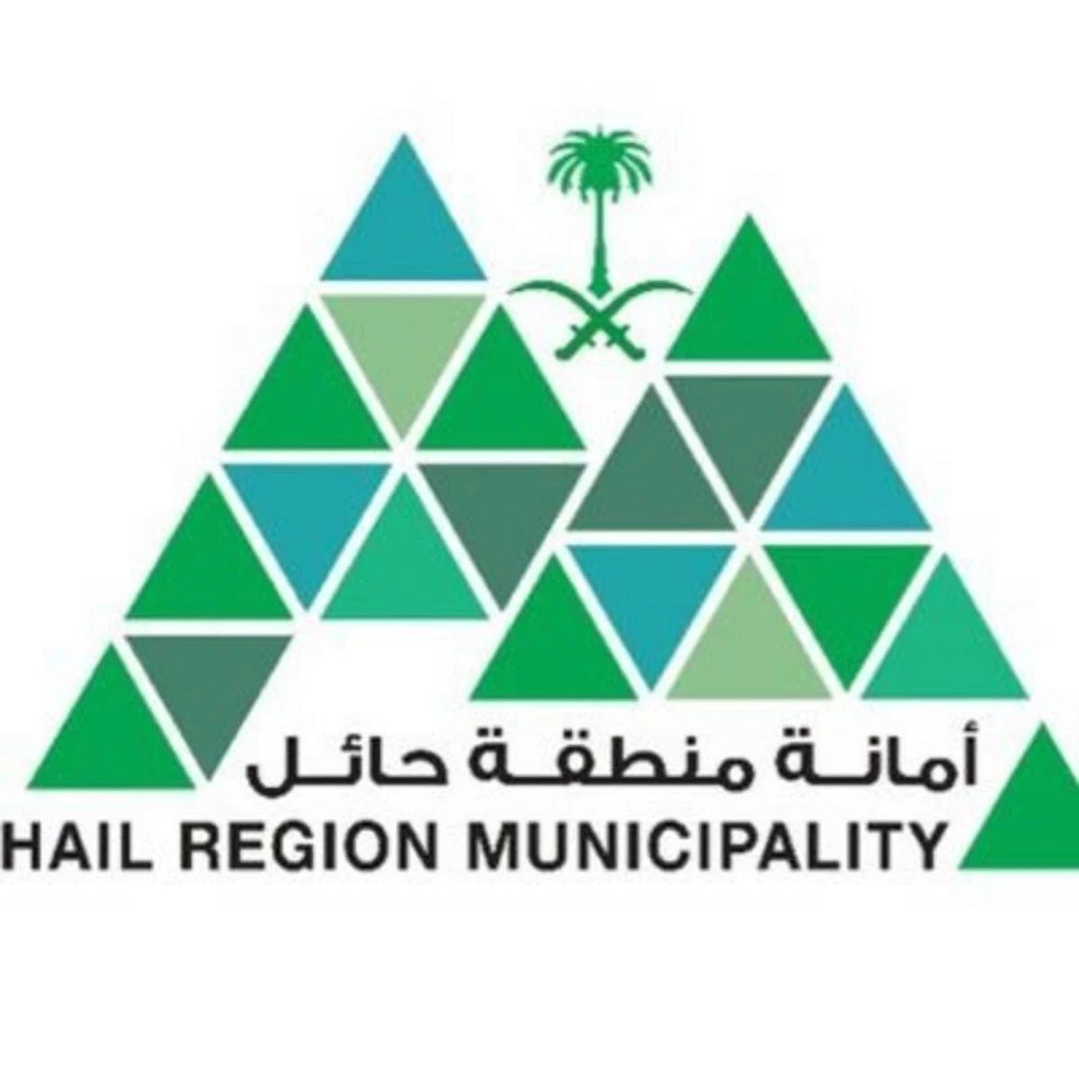 "أمانة حائل": فرقنا الميدانية تحصر التشوّه البصري وتتم معالجته