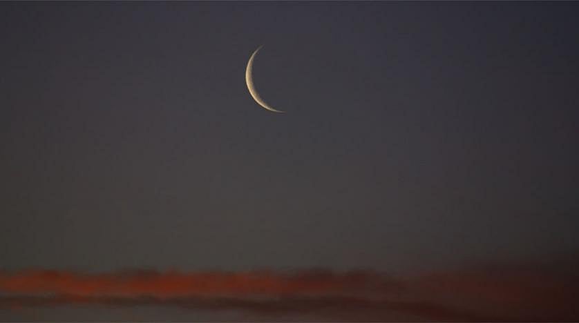 ������� ������� ���� ����� ���� sabq/2022-06/199