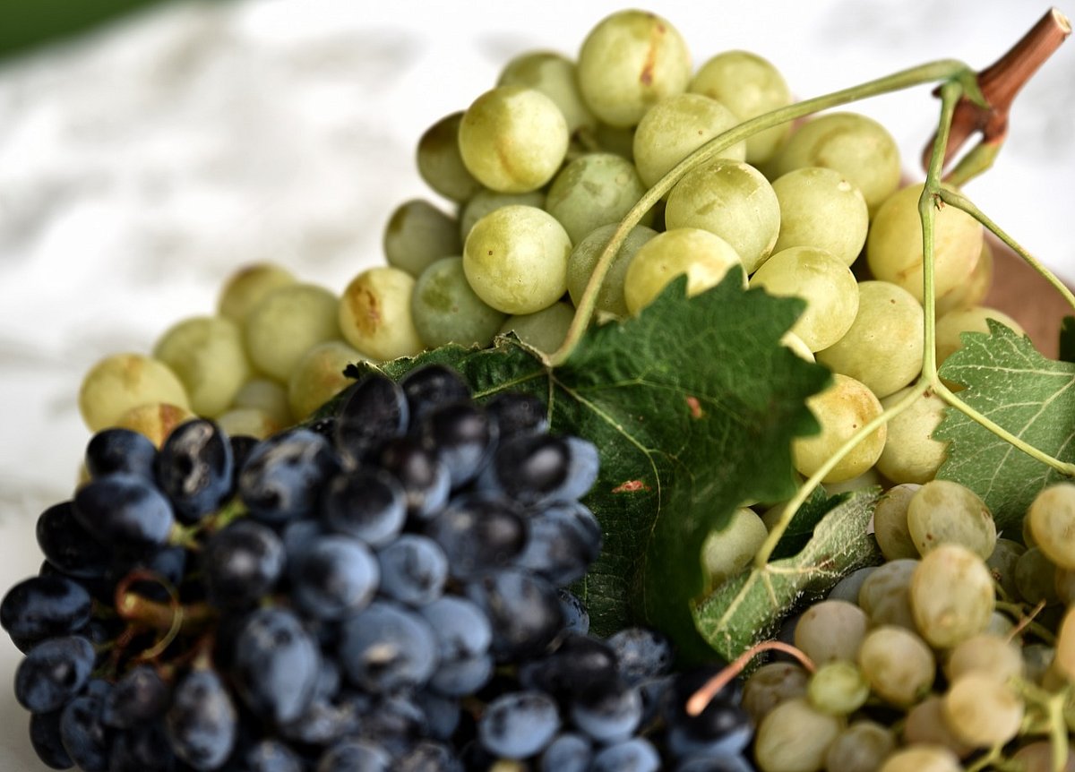 ���� ����� ����� �����������.. ����� sabq/2022-08/9da