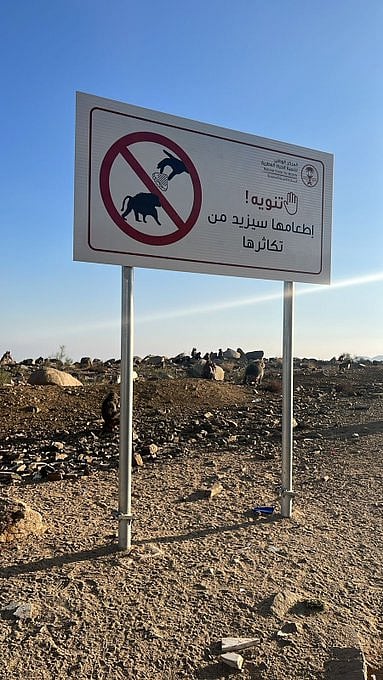 ����� ���� "�������" ���� ���� sabq/2023-02/90b