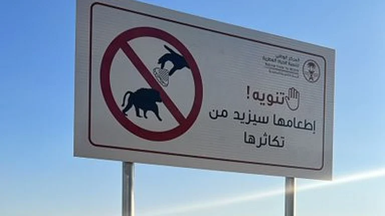 تكتيك جديد "البابون" أمين عسير sabq/2023-02/90b