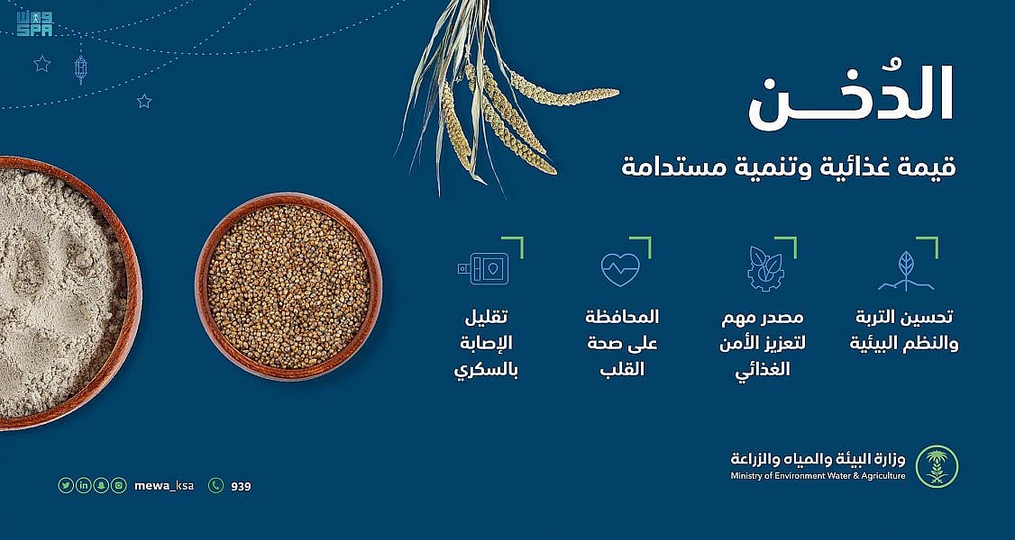 "البيئة": استخدام التقنيات الحديثة لتطوير زراعة الدُخن وزيادة إسهامه في