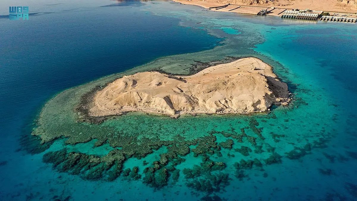 ���� �������� ����� ������.. "����� sabq/2023-07/d37