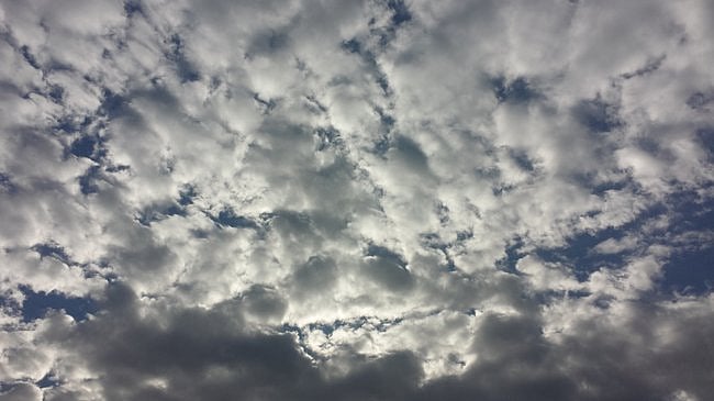 ����� ����� ������ ����� ���� sabq/import/uplo