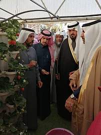 الفراولة حائل حديقة تعرف على الفراولة حائل حديقة تعرف على