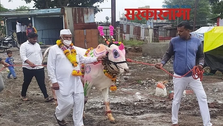 Someshwar Sugar factory election