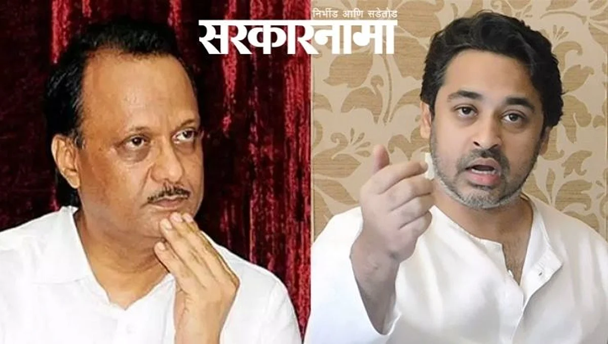 राणे म्हणतात, ''अजितदादांकडे मुख्यमंत्रीपदाचा चार्ज द्या''