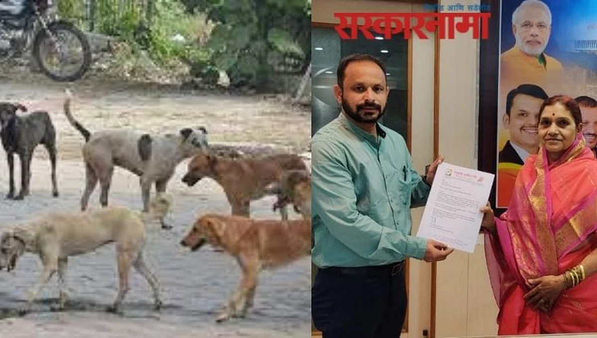 पिंपरीतील कुत्र्यांना वाघासारखा रंग देण्याची महापौरांकडे अजब मागणी