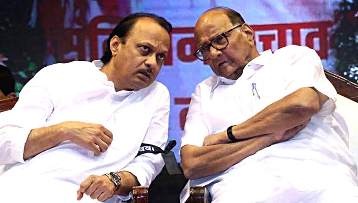 कोरेगाव, माणच्या पराभवावर शरद पवार, अजित दादांनीही व्यक्त केली खंत...
