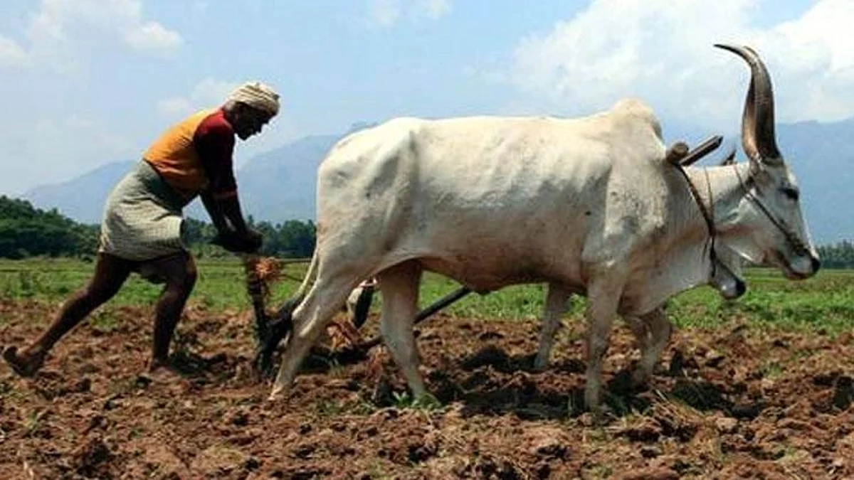 EWS : ५ एकराची अट हटवण्यासाठी खर्गे, राऊत व शरद पवार करणार प्रयत्न