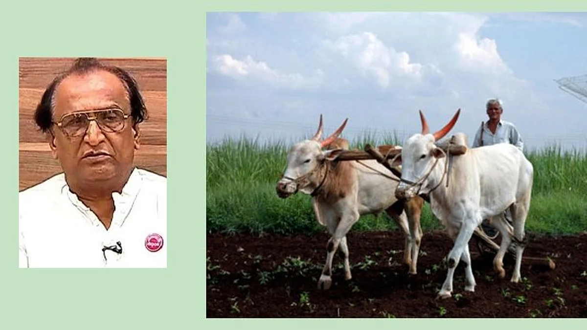 Raghunath Patil