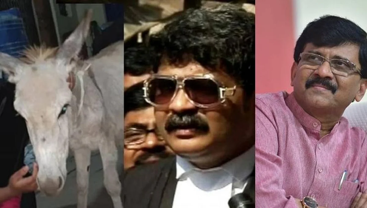 गाढव तुरुंगात जाताच ‘लाल परी’ मुक्त ; गाढवांचे काय ? शिवसेनेचा सवाल