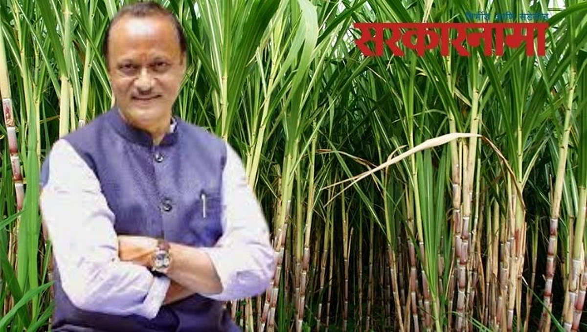 Osmanabad : अजित पवारांनी चालवायला घेतलेले दोन्ही कारखाने फायद्यात, साखर उताराही चांगला..
