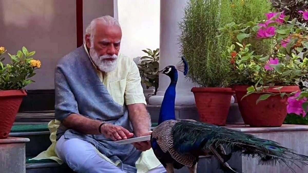 महत्वाची बैठक सुरू असताना मोर आला अन् मोदींनी..! शहांनी सांगितला संवेदनशीलतेचा किस्सा