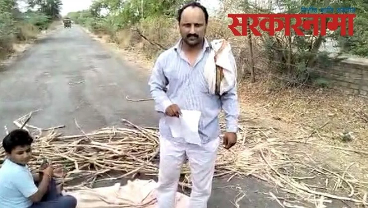 Sugarcane Farmer In Beed District