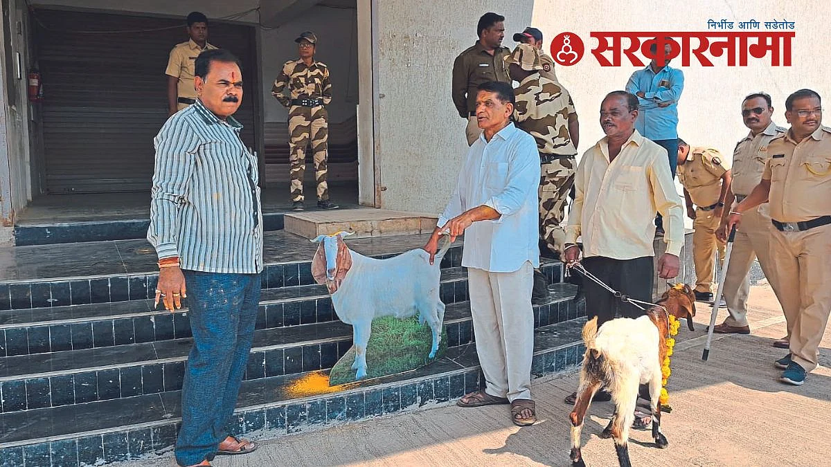 Goat sacrifice agitation