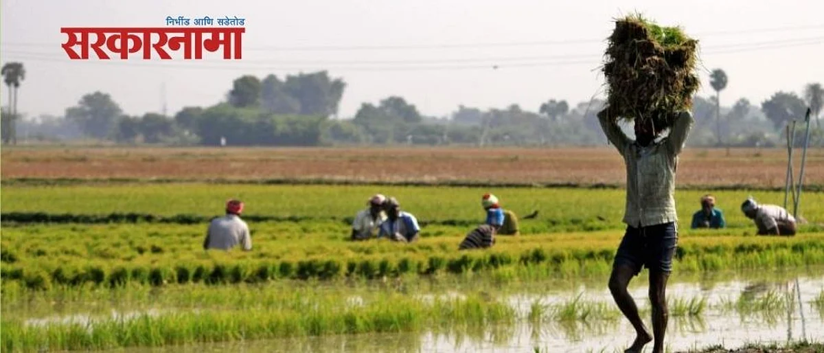 Crop Insurance Beed Patern News