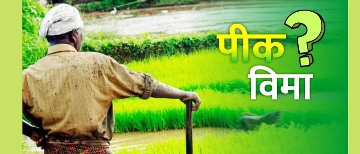 दोन कोटी भरले; मिळाले फक्त २२ लाख, विमा कंपन्यांकडून शेतकऱ्यांची लूट
