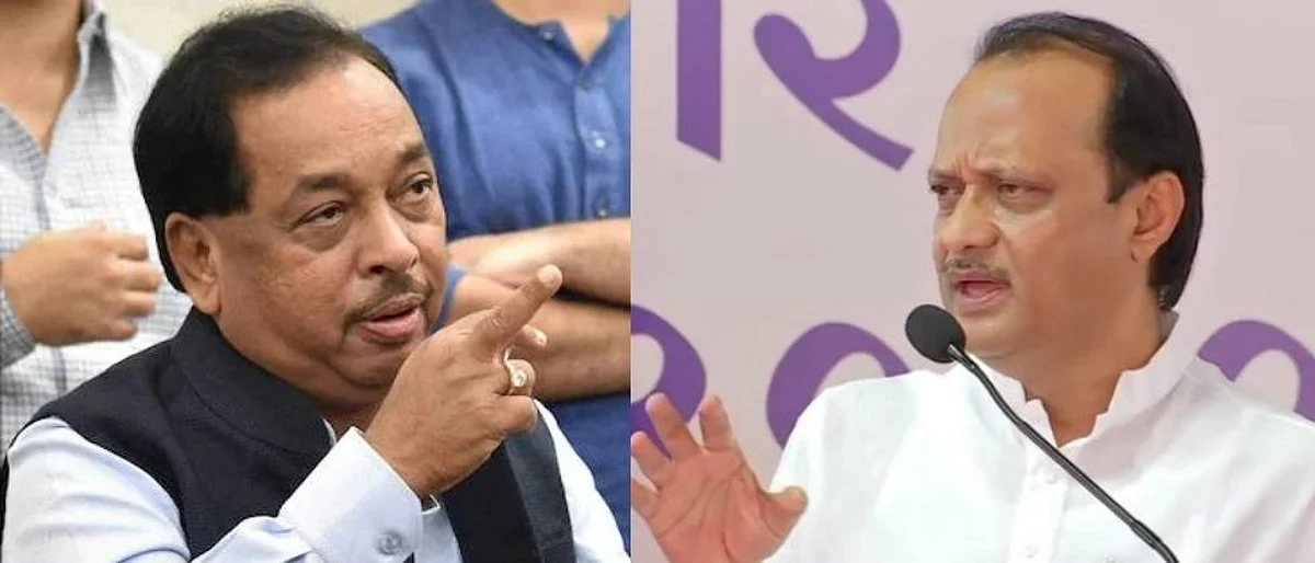 नारायण राणे अजित पवारांवर भडकले अन् म्हणाले...