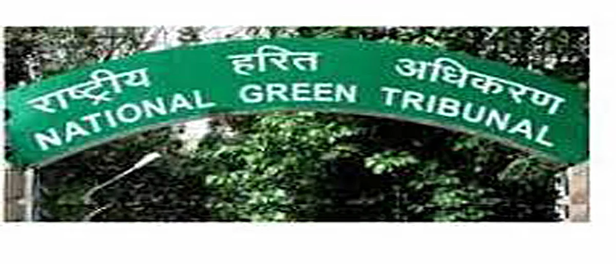 केंद्र सरकारला राष्ट्रीय हरित लवादाचा पुन्हा दणका; फेरविचार याचिका फेटाळली