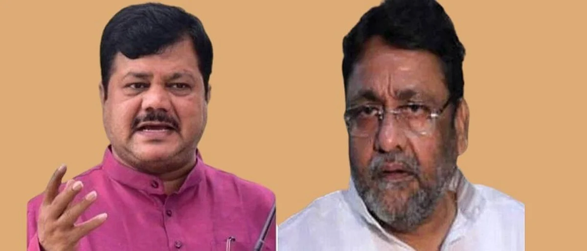 नवाब मलिकजी, 'आपला तो बाब्या, दुसऱ्याचं ते कार्ट' ; राणेंच्या अटकेवेळी कायदा कुठे होता?