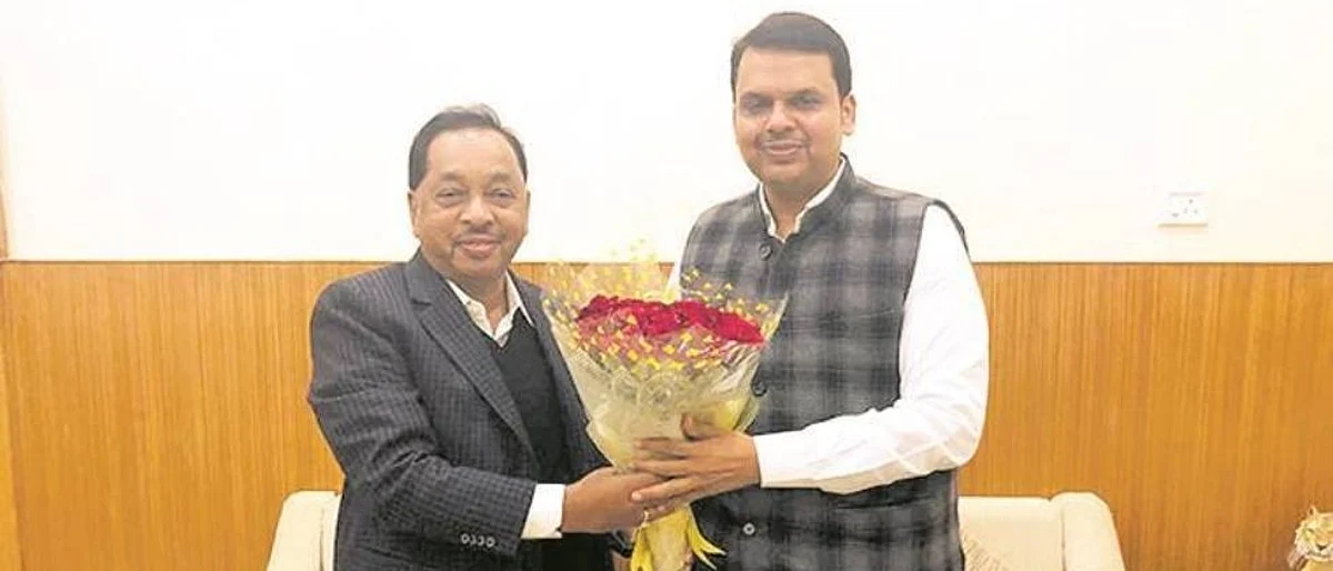 नारायण राणेंची पाठराखण करायला फडणवीस सरसावले!