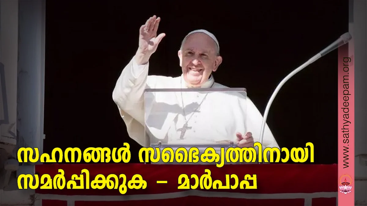 സഹനങ്ങള് സഭൈക്യത്തിനായി സമര്പ്പിക്കുക - മാര്പാപ്പ