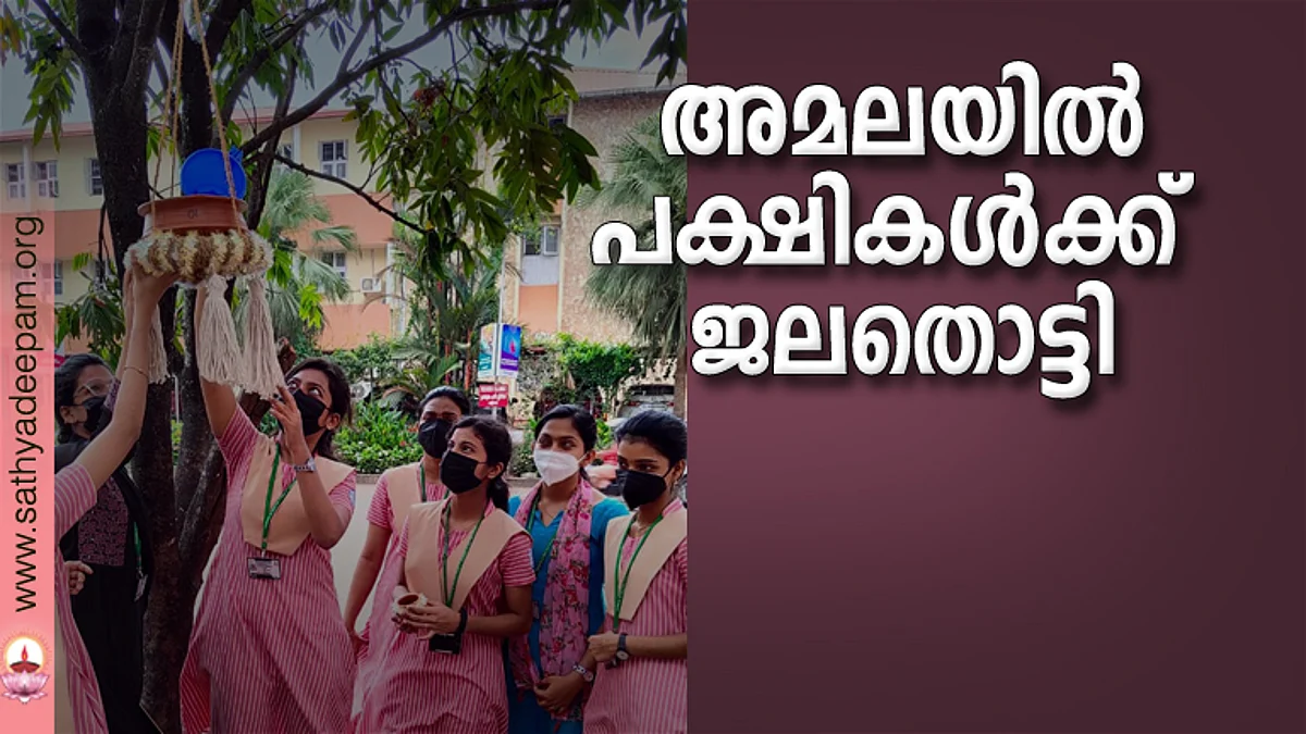 അമലയില് പക്ഷികള്ക്ക് ജലതൊട്ടി