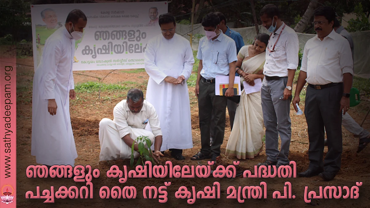 ഞങ്ങളും കൃഷിയിലേയ്ക്ക് പദ്ധതി - ചൈതന്യ അങ്കണത്തില്പച്ചക്കറി തൈ നട്ട് കൃഷി മന്ത്രി പി. പ്രസാദ്