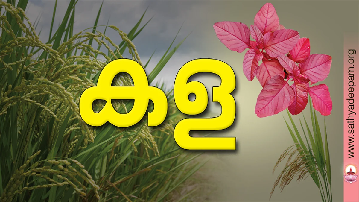 കള