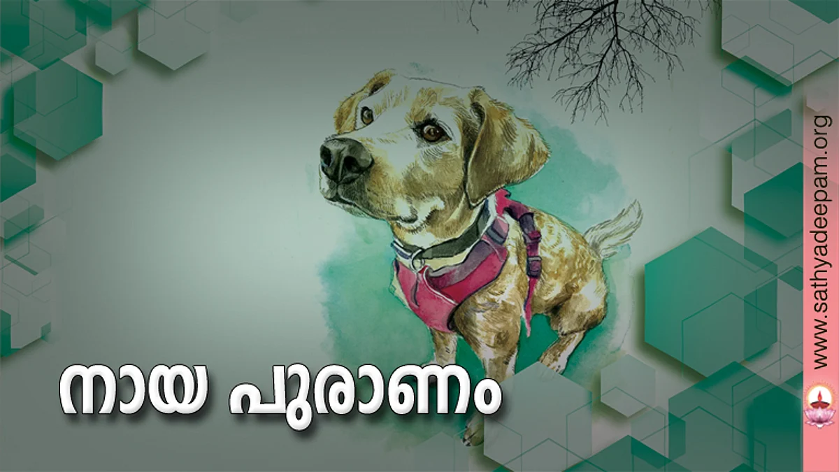 നായ പുരാണം