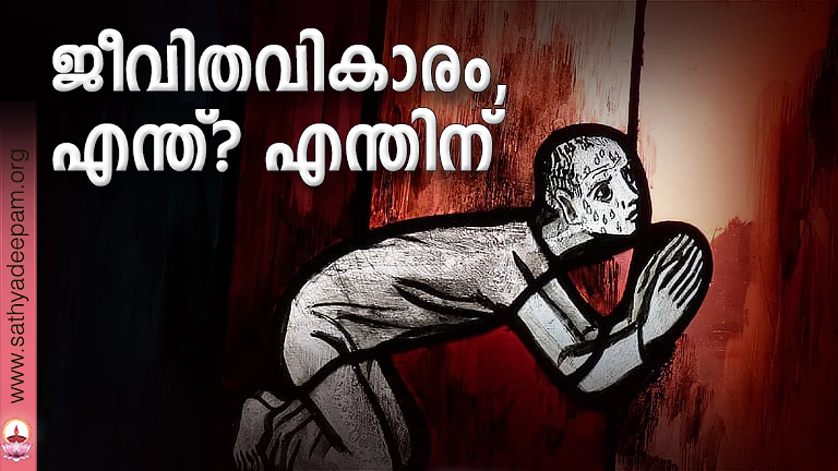 ജീവിതവികാരം, എന്ത്? എന്തിന്
