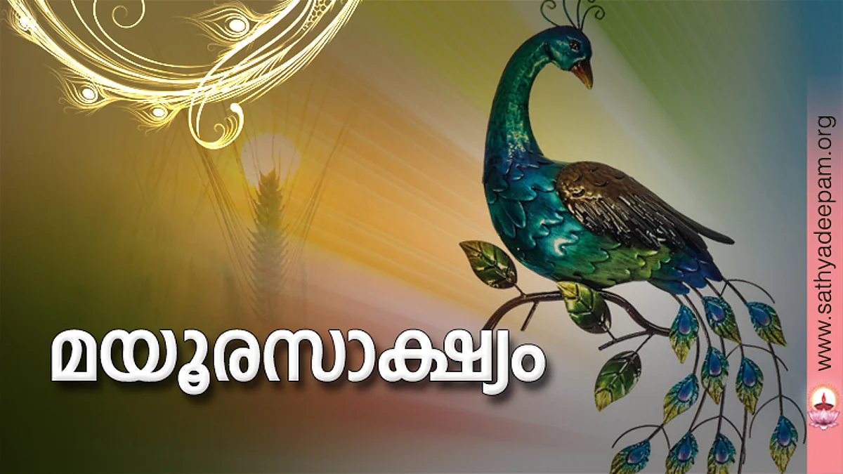 മയൂരസാക്ഷ്യം