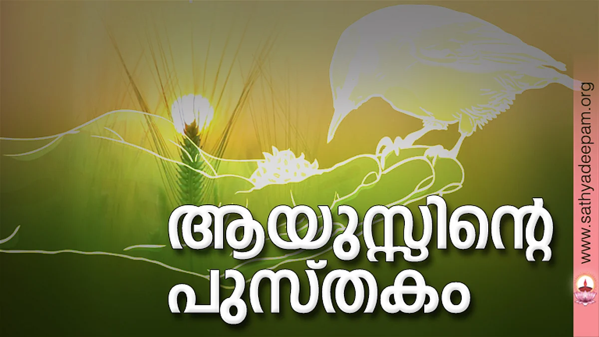 ആയുസ്സിന്റെ പുസ്തകം