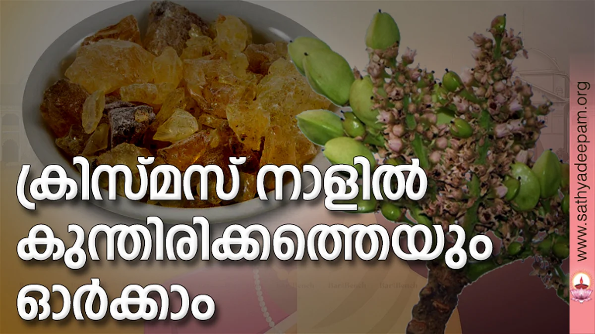 ക്രിസ്മസ് നാളില് കുന്തിരിക്കത്തെയും ഓര്ക്കാം
