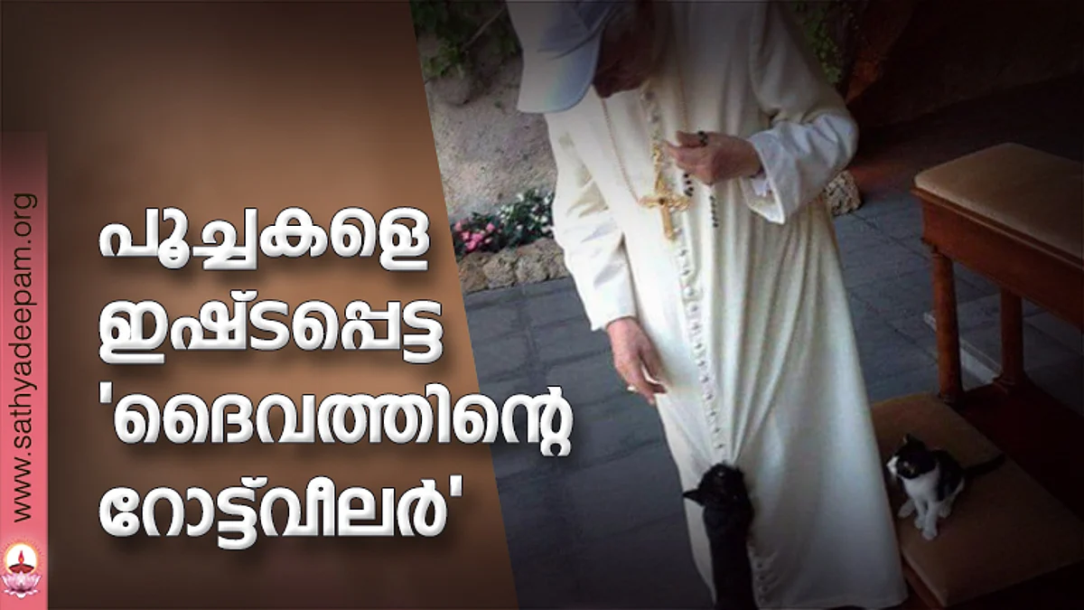 പൂച്ചകളെ ഇഷ്ടപ്പെട്ട 'ദൈവത്തിന്റെ റോട്ട്വീലര്'