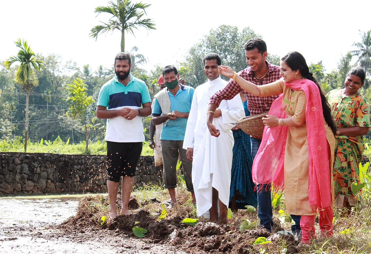 വിവാഹപ്പിറ്റേന്ന് വയലില് ജൈവകൃഷിക്കുള്ള വിത്തുവിതച്ച് നവദമ്പതികള്