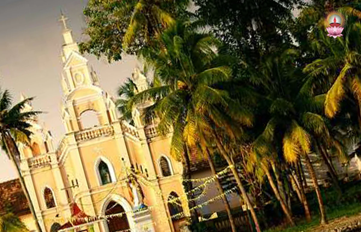 കെട്ടുതെങ്ങ്, പിടിനെല്ല്, പിടിയരി