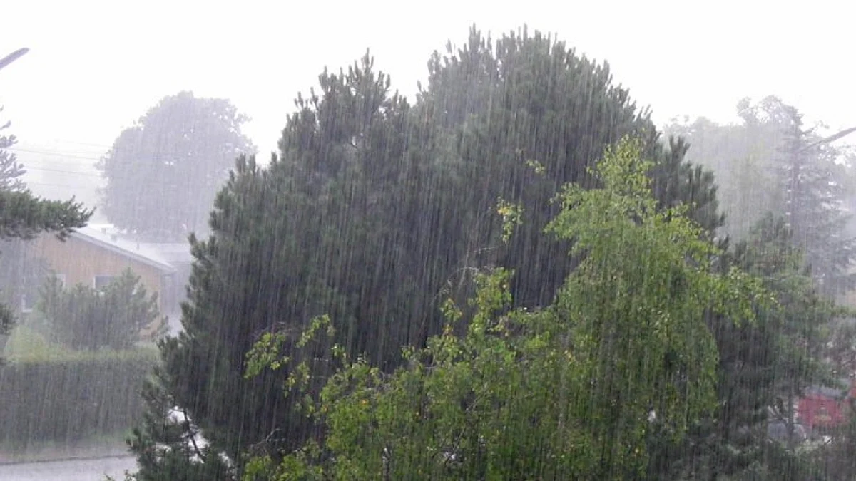 Rain Alert - தமிழகத்தின் இந்த மாவட்டங்களில் மழை தொடரும்!
