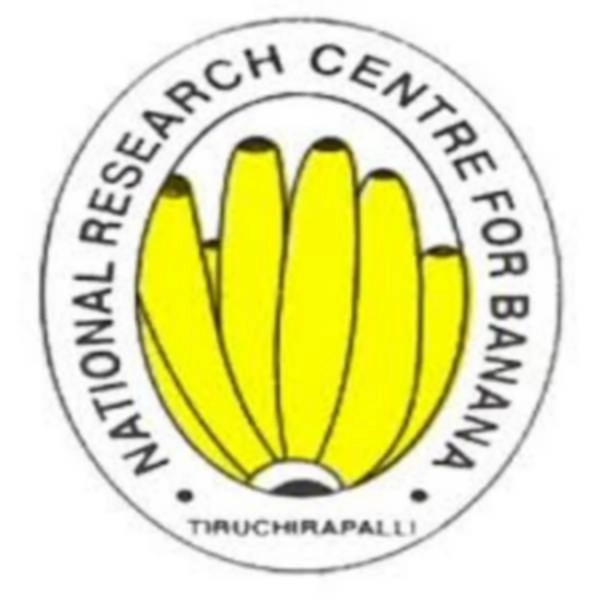 தேசிய வாழை ஆராய்ச்சி மையத்தில் வேலைவாய்ப்பு!