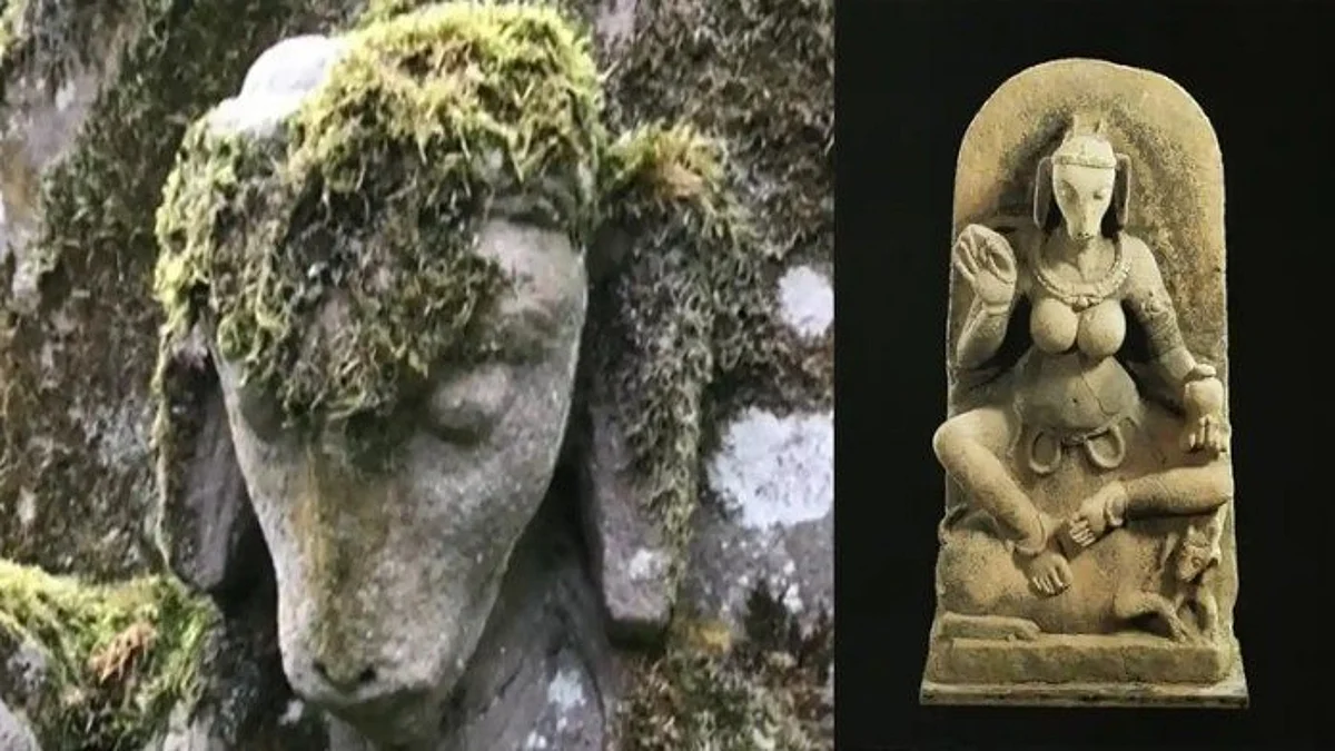 Yogini Devi's Idol