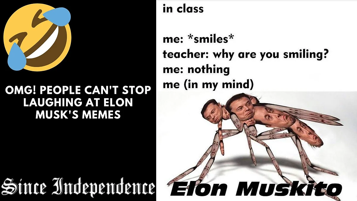 OMG! People Can't Stop Laughing at Elon Musk's Memes