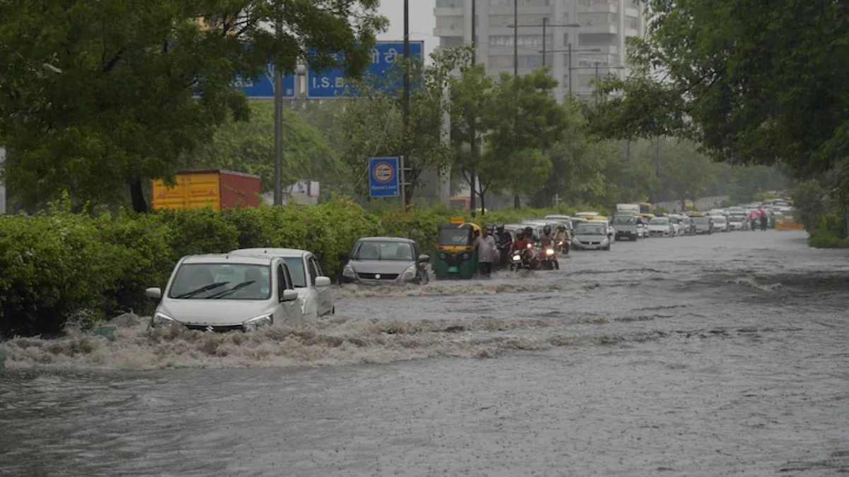 Trees Uprooted due to Storm and Rain in Delhi-NCR, Flight Operations also Affected