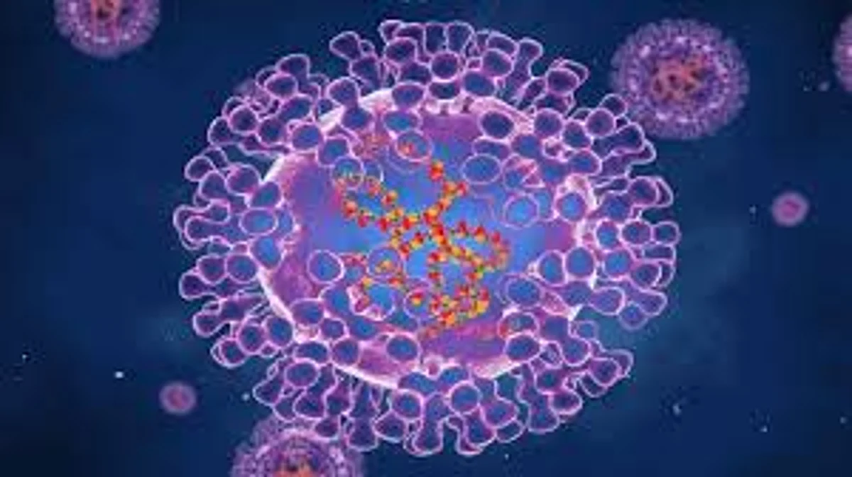Threat of 'Monkeypox' Virus Started Looming After Corona, Know the Symptoms Here