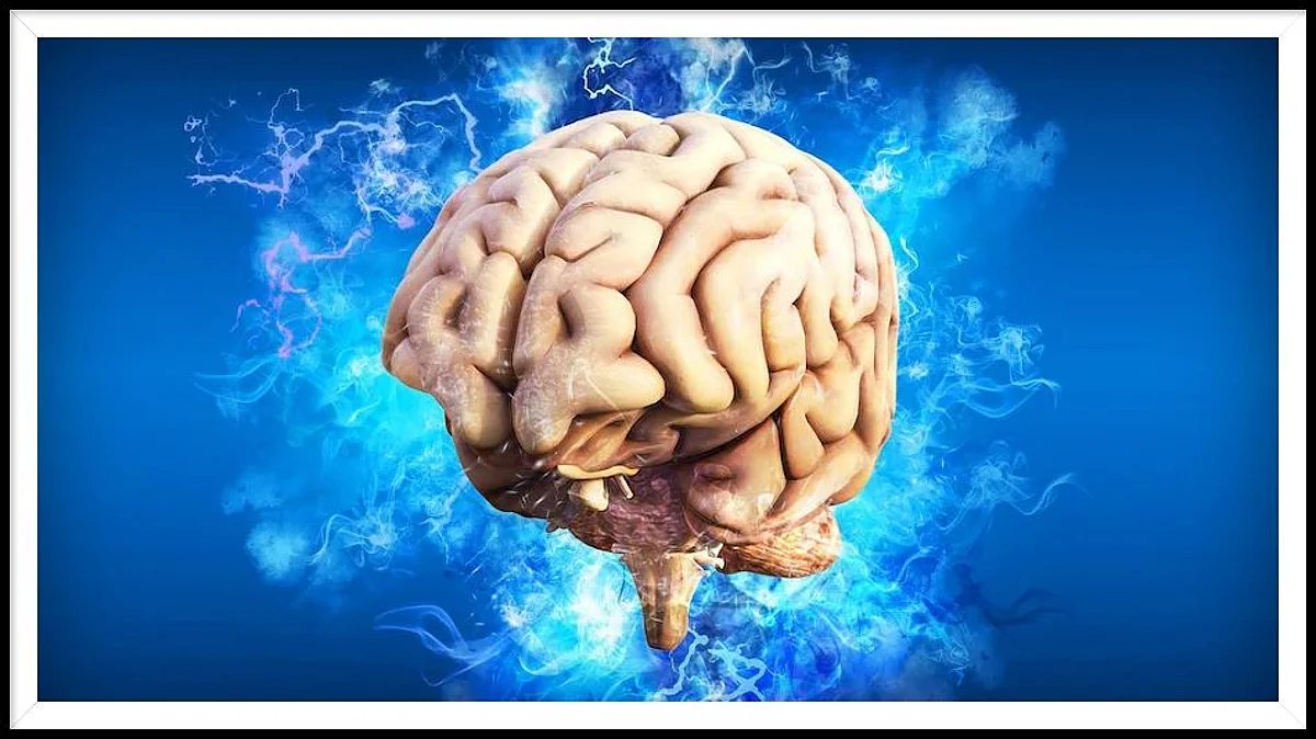Scientists Find Out Human Brain Is More Hotter Than Previously Thought