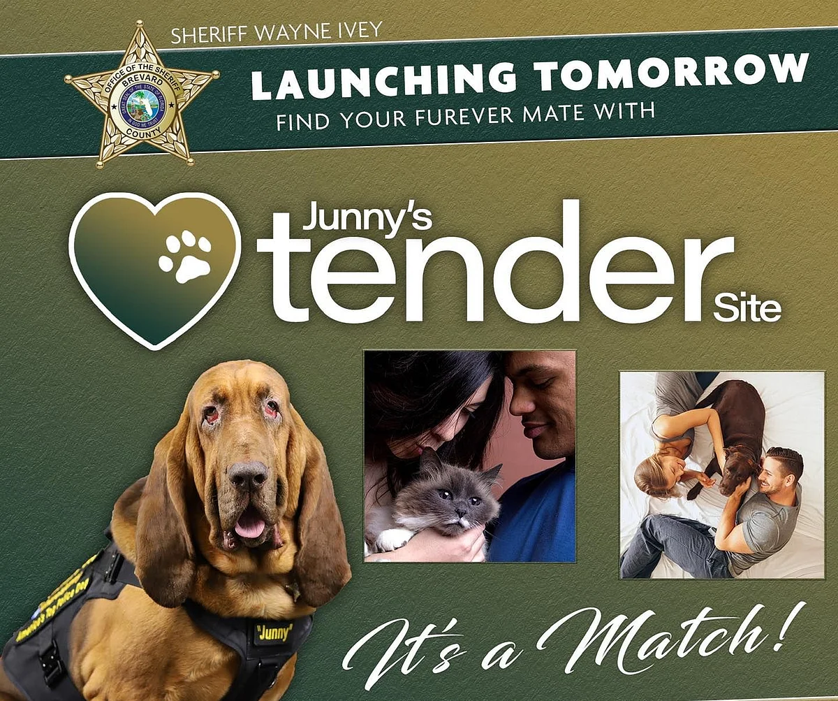 Police Department Launched “Dating Site” For Cats, Dogs Looking For Forever Homes