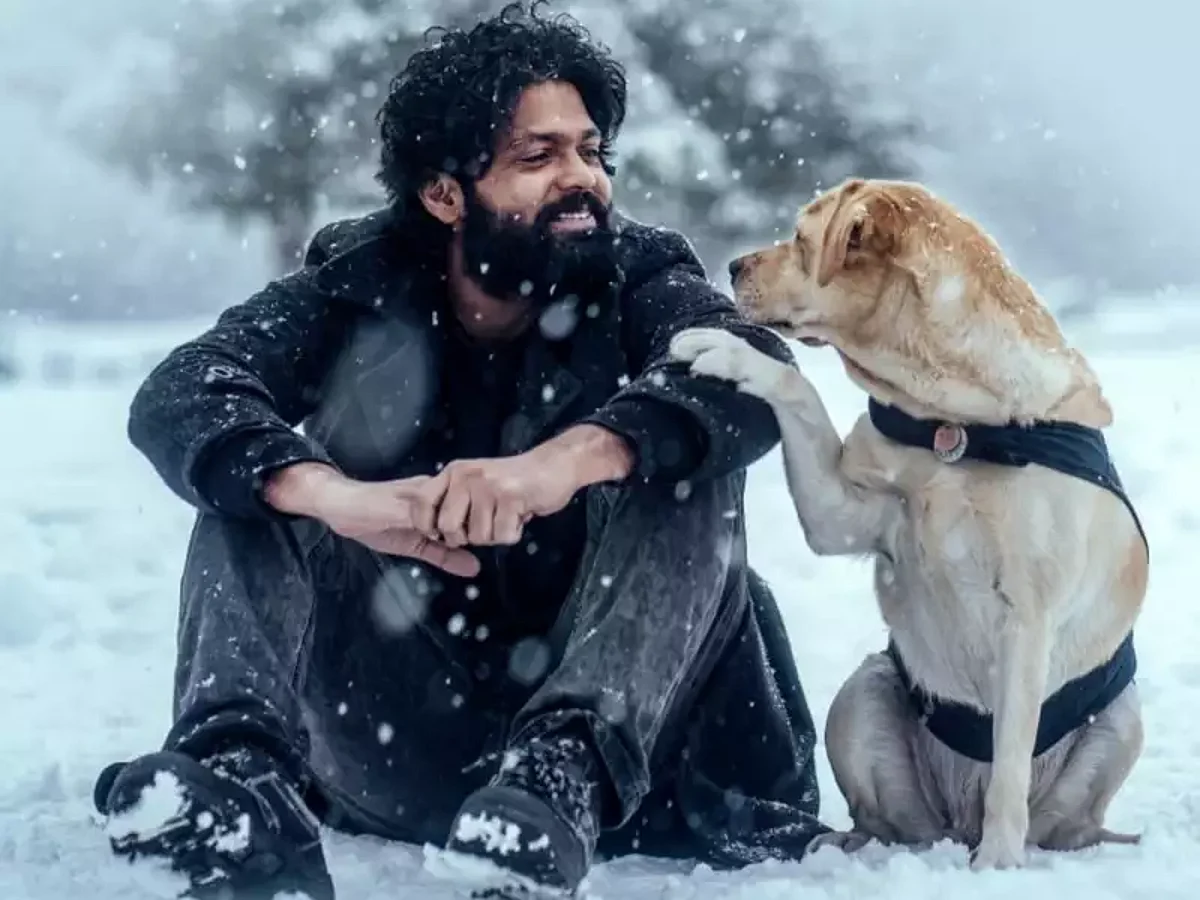 Charlie 777 Film Review: Kannada industry delivers yet another beautifully carved cinema